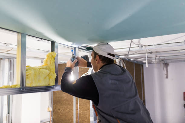 Best Insulation Maintenance and Repair in Agency Village, SD